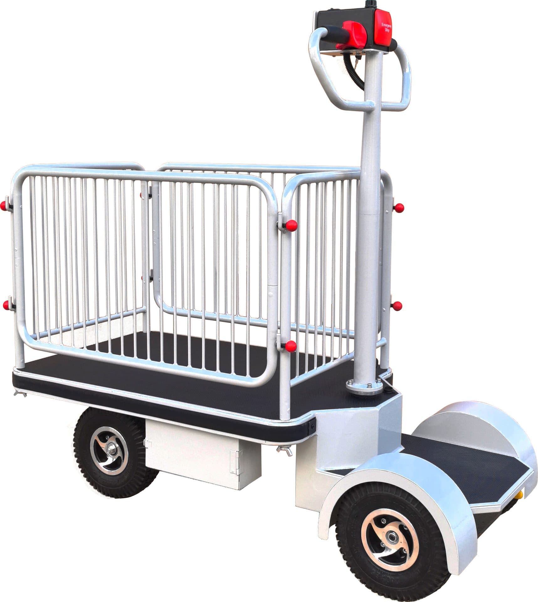 Plateforme motorisée 400 kg autoportée avec barrières, dimensions plateforme 950 x 630 mm